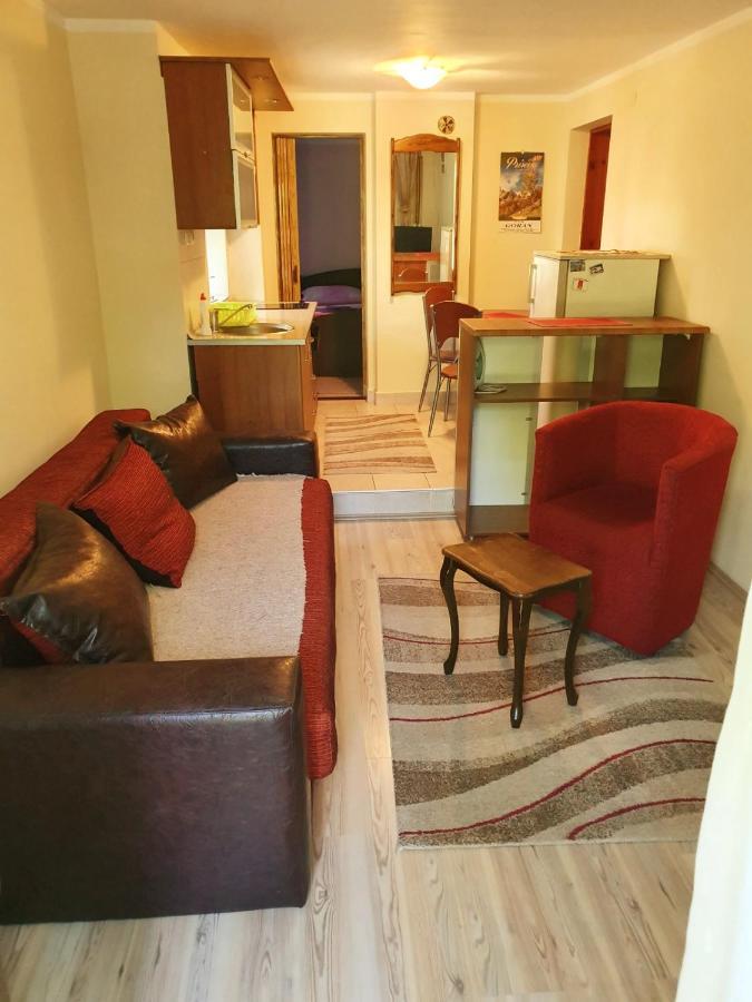 Apartman Sergej 2 Soko Banja Exterior photo